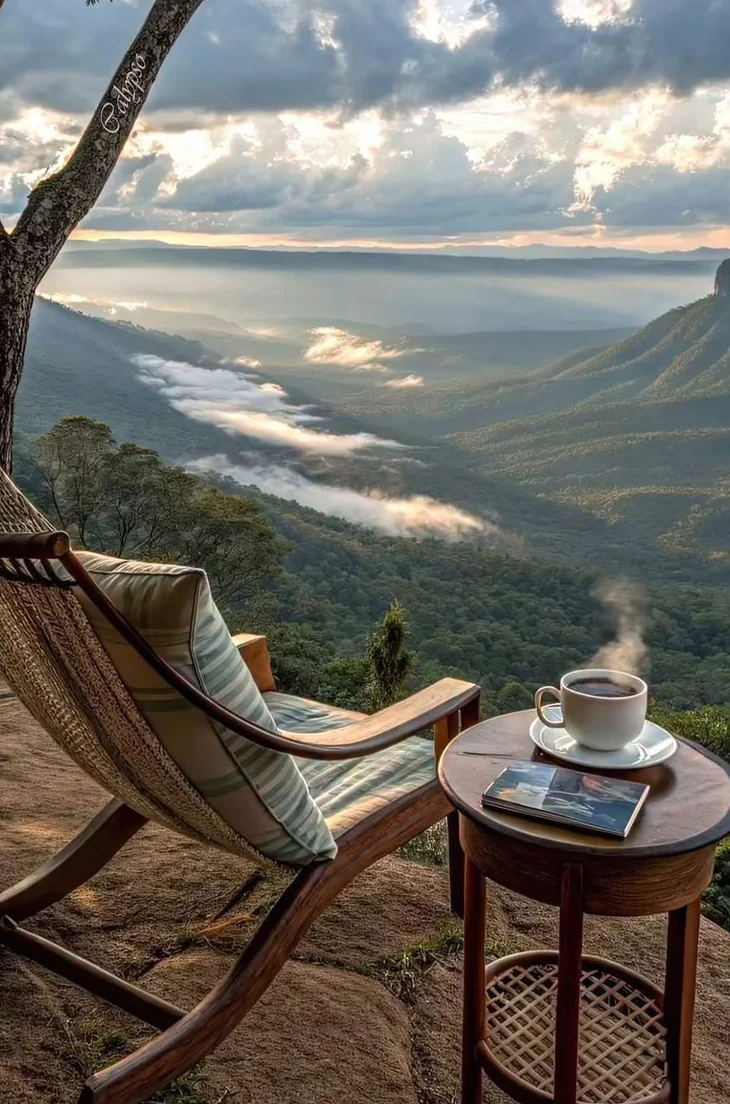 Sezgin Danışmanlık